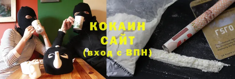 COCAIN Fish Scale  купить наркоту  Вилючинск 